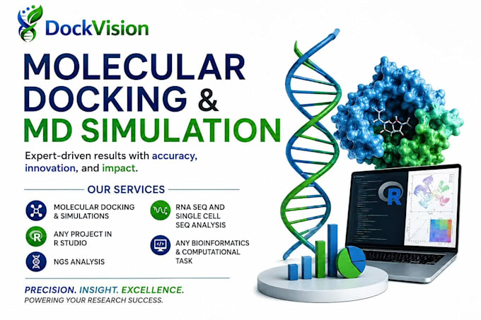 provide docking and MD simulation services