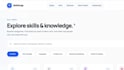 fix bugs and add new features to your website
