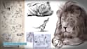 draw  realistic pencil drawing sketch in 24 hours