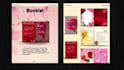 design creative flyers posters and graphic work for you