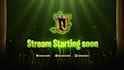 design premium twitch overlays, animated screens, and mascot logo for streamers