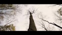edit wedding clip, highlight, teaser, promo, movie