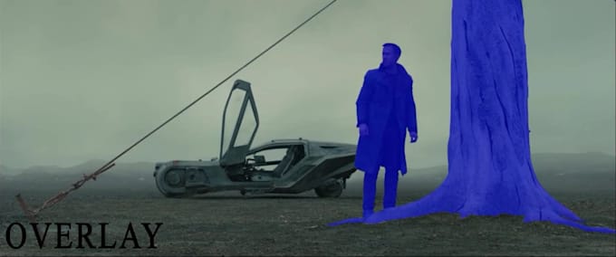 do professional roto prep and compositing