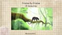 do frame by frame 2d animation