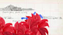 make an animated collage video