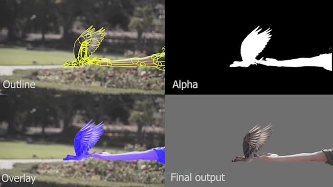 do vfx rotoscoping, roto, masking, chroma keying, green screen remove