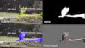 do vfx rotoscoping, roto, masking, chroma keying, green screen remove