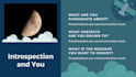 design animated canva presentation and powerpoint slides