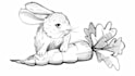 draw professional cute style sketches and line art