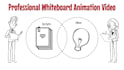 create a premium whiteboard animation explainer video in 24h