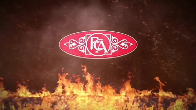 create 10 epic fire logo intro video animation