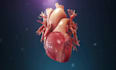 design 3d cardiovascular stent  and catheter  animation