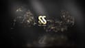 do logo animation and intro outro for you