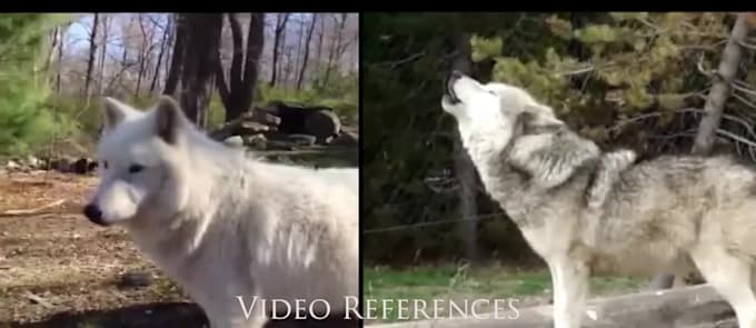 3d animal animation, cgi animal animation,3d animal model,vfx animal compositing
