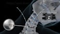 do professional 3d medical animation