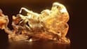 create a stunning gold dust explosion logo animation in 4k