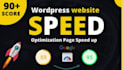 provide speed optimization wordpress, website performance,SEO and google ranking
