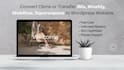 convert clone or transfer wix, weebly, webflow, squarespace to wordpress website