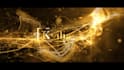 do custom luxury logo animation