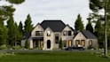 do 3d architectural rendering in revit, sketchup and d5 render