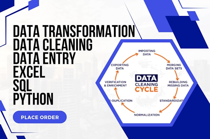 Do data cleaning, data transformation, data entry using excel sql ...