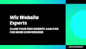 design wix website, redesign wix website or wix business website