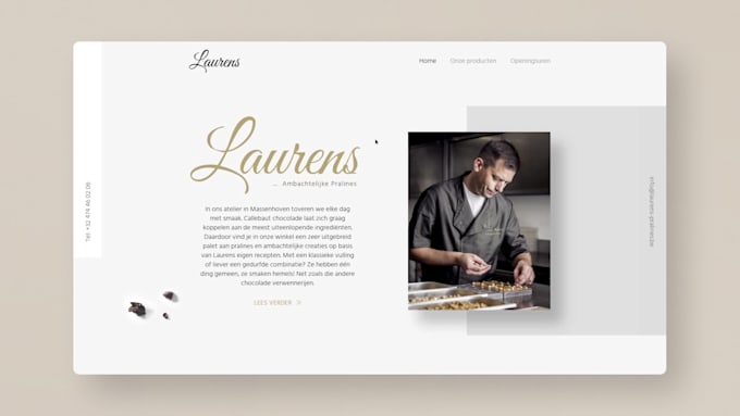 setup a modern wordpress website for you