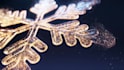 make beautiful snowflakes christmas greeting video