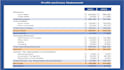 prepare profit and loss and financial statements for you