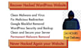remove malware and virus from wordpress or any website