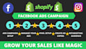 setup and manage shopify facebook ads campaign, fb advertising