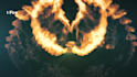 create luxury fire wings intro logo video