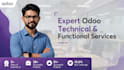 be technical and functional odoo expert for your project