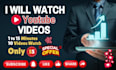 watch youtube video, channel promotion, organic monetization