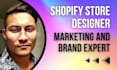 redesign your existing shopify store ecommerce