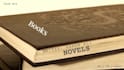 write novel book ebook article and short story