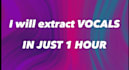 remove vocals or instruments from any link