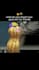 create custom 3d ar vtuber filter for snap camera and lens studio streaming