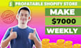 build ecommerce website shopify or shopify website design and redesign