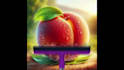 motion design logo animate