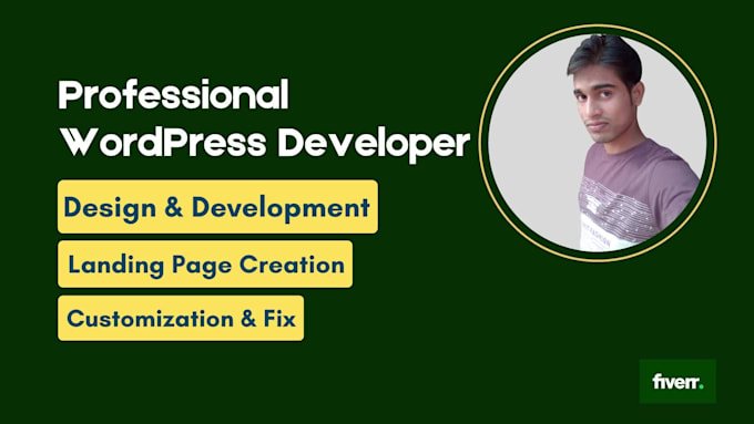 create a modern and responsive wordpress website design or blog