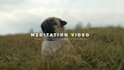create copyright free HD relaxing meditation videos