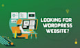 build wordpress website design and wordpress plugin