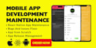 fix bugs in react native app and reskin your app as react native developer