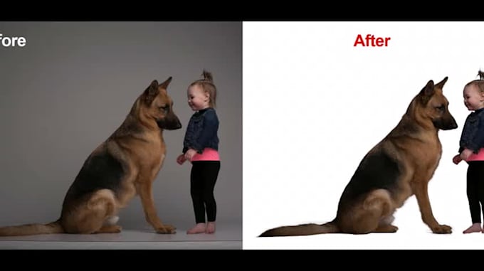 give image manipulation services