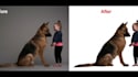 give image manipulation services