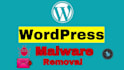do wordpress website bug fixes and malware removal