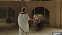 do realistic 3d animal model, fur xgen cgi animal animation vfx compositing