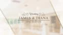 memorable animated wedding invitation video