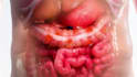 do professional 3d medical animation and human anatomy